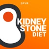 Kidney Stone Diet artwork