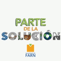 [NEGOCIACIONES CLIMÁTICAS EN 20 MINUTOS] Artículo 6: mercados de carbono y más allá