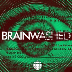 Brainwashed Introduces: Crime Story