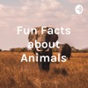 Fun Facts about Animals