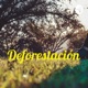 Deforestación 