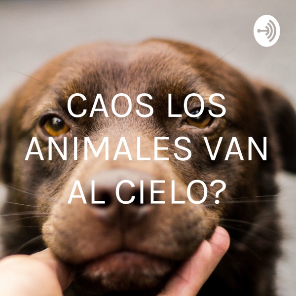 CAOS ¿LOS ANIMALES VAN AL CIELO?