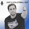 Just a Volleyball Guy artwork