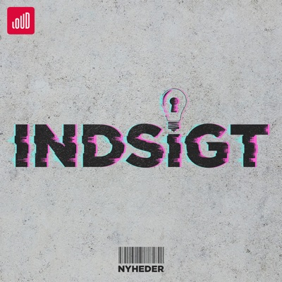 Indsigt