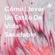 Cómo Llevar Un Estilo De Vida Saludable 