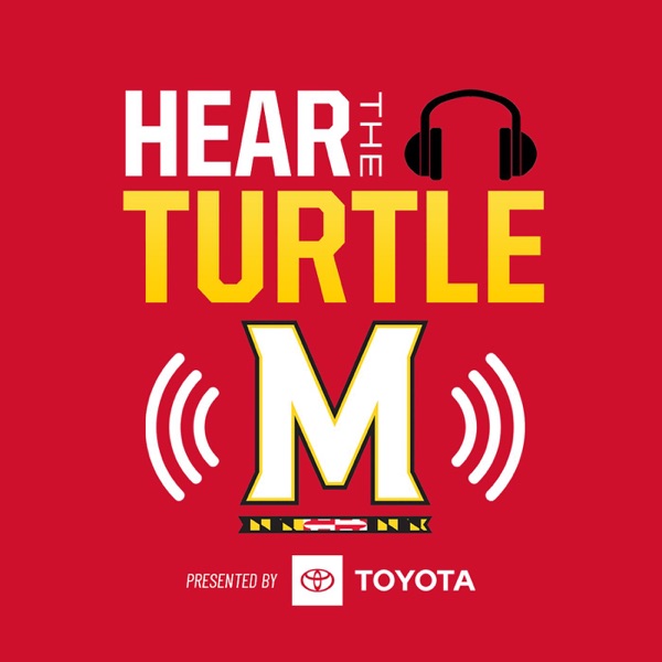 Artwork for Hear The Turtle