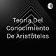 Teoría Del Conocimiento De Aristóteles