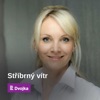 Stříbrný vítr