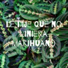 Le dije que no viniera marihuano