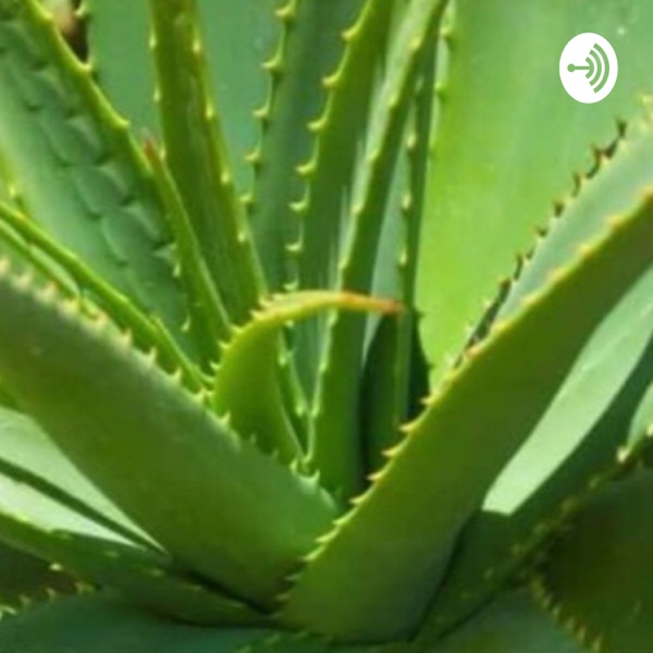 Plantas medicinales