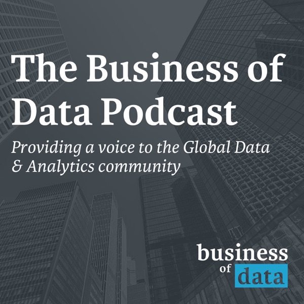 The Business of Data Podcast Artwork