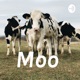 Moo 