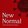 New Normal artwork