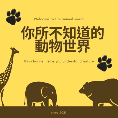 你所不知道的動物世界 你所不知道的動物世界