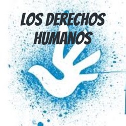 Los derechos humanos: Historia de la ONU, Organizaciones que promueven los derechos humanos y los presos de conciencia.