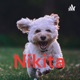 Nikita