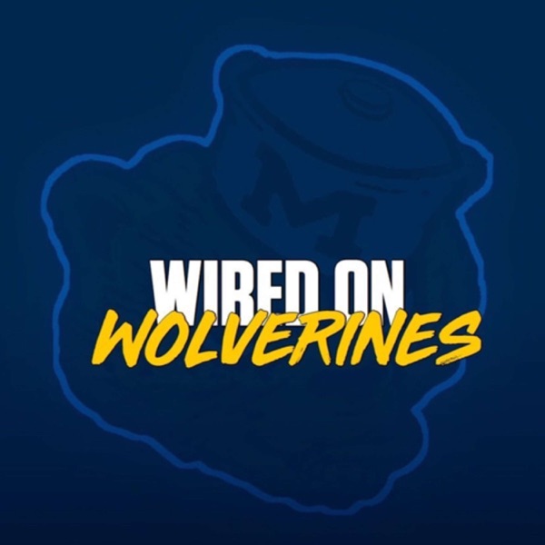 Wired On Wolverines Artwork