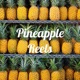 Pineapple Reels
