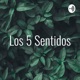 Los 5 Sentidos