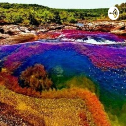 Caño Cristales 