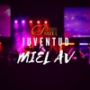 Juventud MIEL AV artwork