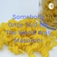 Somebody Once Told Me The World Was Macaroni