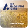 Our Regenerative Future artwork