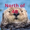 North of 48 artwork