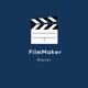 Film Maker's Diaries