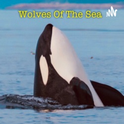 Wolves of the sea