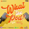 What The Pod? With Tricey Trice artwork
