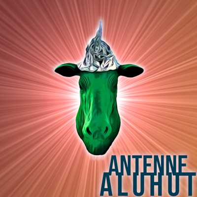 Antenne Aluhut