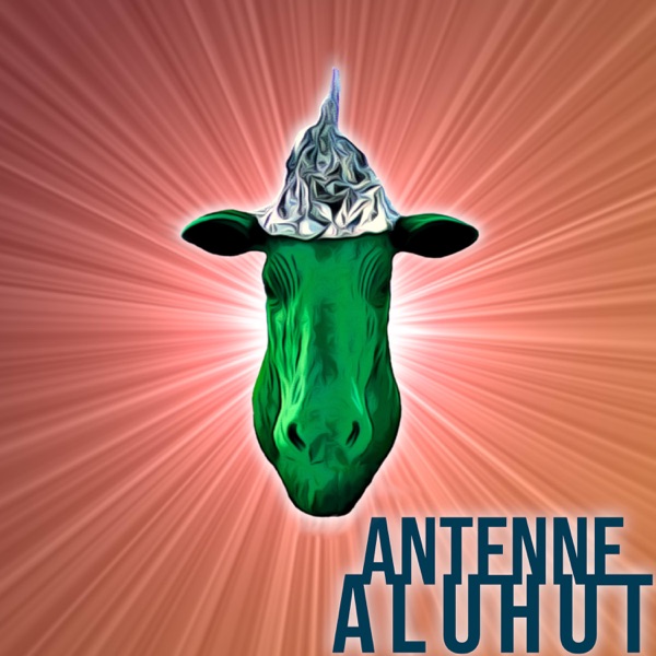 Antenne Aluhut