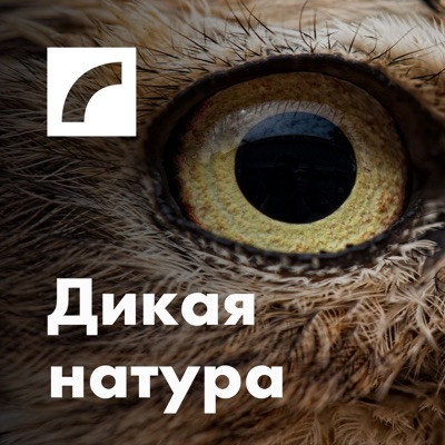 Дикая натура Дикая натура