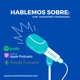 Hablemos Sobre: