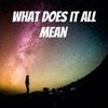 What Does it All Mean  artwork
