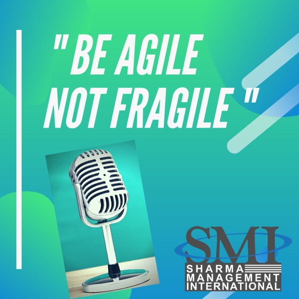 Be Agile Not Fragile Artwork