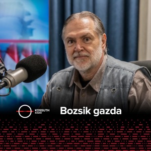 Bozsik gazda podcast