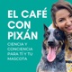 Felinos y la historia de su alimentación