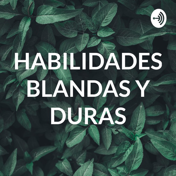 HABILIDADES BLANDAS Y DURAS