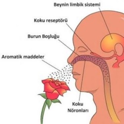 Planlı olmak faydalıdır.. :)