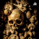Bone Wars: Unearthing Fossils, Scandals, and Colonialism