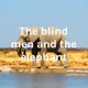 The blind men and the elephant
