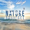 nature ambience (ASMR, 남자 asmr, 남자친구 asmr)
