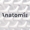 Anatomía