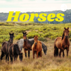 Horses - cher S