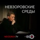 Александр Невзоров. Невзоровские среды с Алексеем Арестовичем 