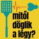 Mitől döglik a légy?