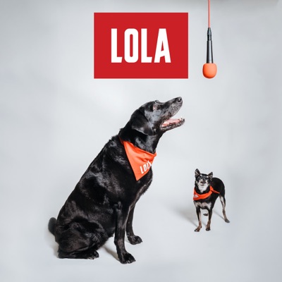 The LOLA Show