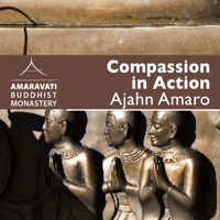 Compassion in Action - Meditation - by Ajahn Amaro podcast